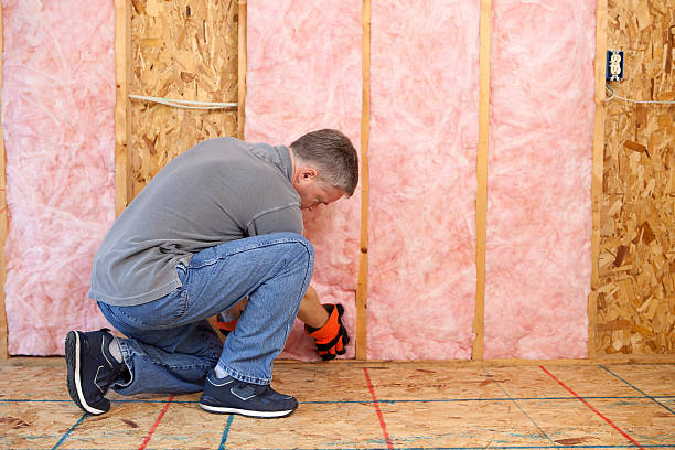 Best Wall Insulation Installation  in Flushing, MI